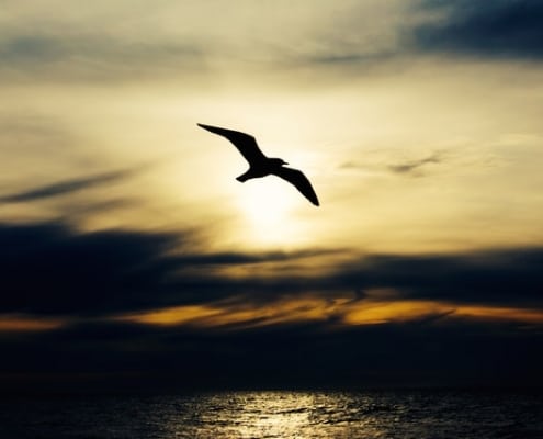 Three Reasons Why it is Difficult to Move on After There is Broken Trust